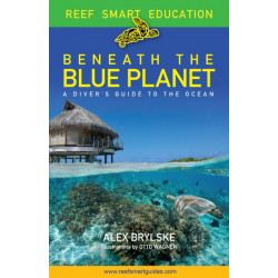 Beneath the Blue Planet: A Diver’s Guide to the Ocean and Its Conservation (Adult nature book and travel gift)