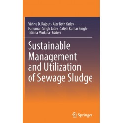 Sustainable Management and Utilization of Sewage Sludge