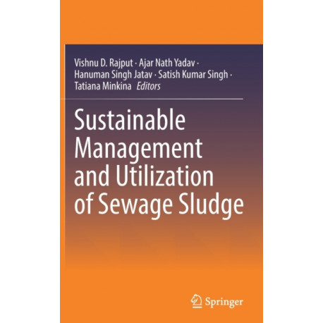 Sustainable Management and Utilization of Sewage Sludge