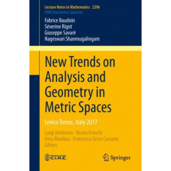 New Trends on Analysis and Geometry in Metric Spaces: Levico Terme, Italy 2017