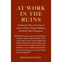 At Work in the Ruins: Finding Our Place in the Time of Science, Climate Change, Pandemics and All the Other Emergencies