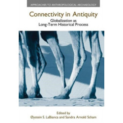 Connectivity in Antiquity: Globalization as a Long-Term Historical Process