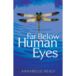 Far Below Human Eyes