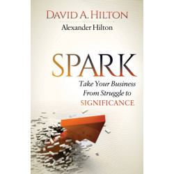 Spark: Take Your Business From Struggle to Significance