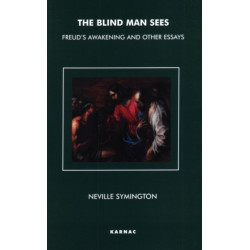 The Blind Man Sees: Freud's Awakening and Other Essays