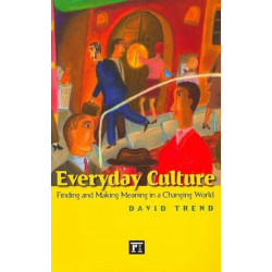 Everyday Culture: Finding and Making Meaning in a Changing World