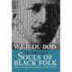 Illustrated Souls of Black Folk