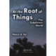 At the Root of Things: The Subatomic World