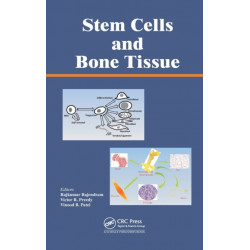 Stem Cells and Bone Tissue