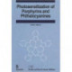 Photosensitization of Porphyrins and Phthalocyanines