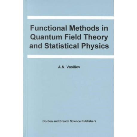 Functional Methods in Quantum Field Theory and Statistical Physics