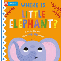 Where is Little Elephant?: The lift-the-flap book with a pop-up ending!