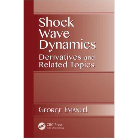 Shock Wave Dynamics: Derivatives and Related Topics