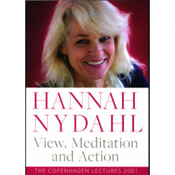 View, Meditation and Action: The Copenhagen Lectures 2001
