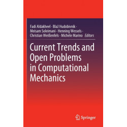 Current Trends and Open Problems in Computational Mechanics