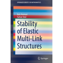 Stability of Elastic Multi-Link Structures