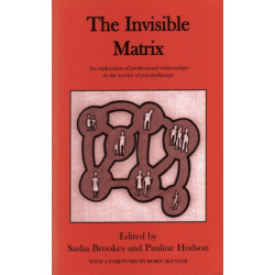 The Invisible Matrix: An Exploration of Professional Relationships in the Service of Psychotherapy