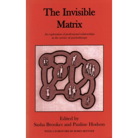 The Invisible Matrix: An Exploration of Professional Relationships in the Service of Psychotherapy