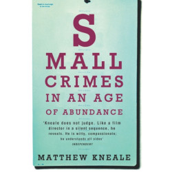 Small Crimes in an Age of Abundance