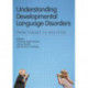 Understanding Developmental Language Disorders: From Theory to Practice