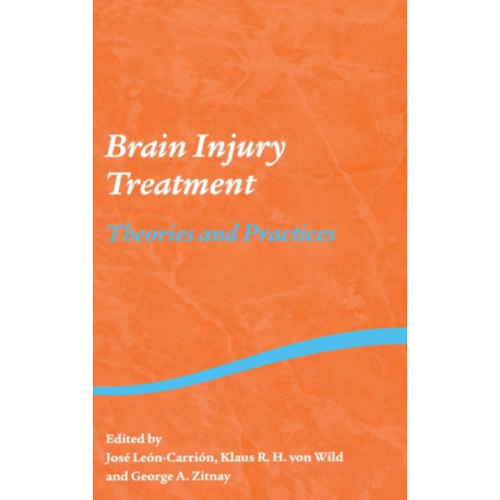 Brain Injury Treatment: Theories and Practices