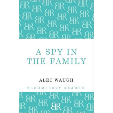 A Spy in the Family: An Erotic Comedy