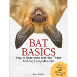 Bat Basics: How to Understand and Help These Amazing Flying Mammals