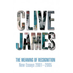 The Meaning of Recognition: Essays 2001-2005