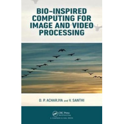 Bio-Inspired Computing for Image and Video Processing
