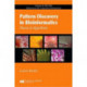 Pattern Discovery in Bioinformatics: Theory & Algorithms