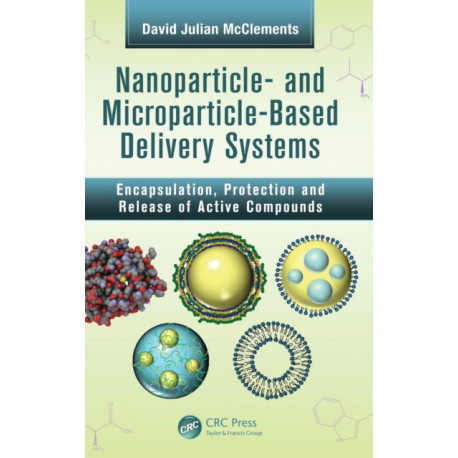 Nanoparticle- and Microparticle-based Delivery Systems: Encapsulation, Protection and Release of Active Compounds
