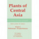Plants of Central Asia - Plant Collection from China and Mongolia, Vol. 5: Verbenaceae-Scrophulariaceae