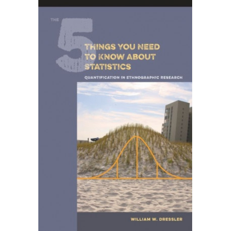 The 5 Things You Need to Know about Statistics: Quantification in Ethnographic Research