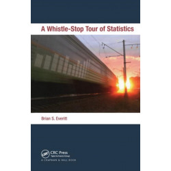 A Whistle-Stop Tour of Statistics