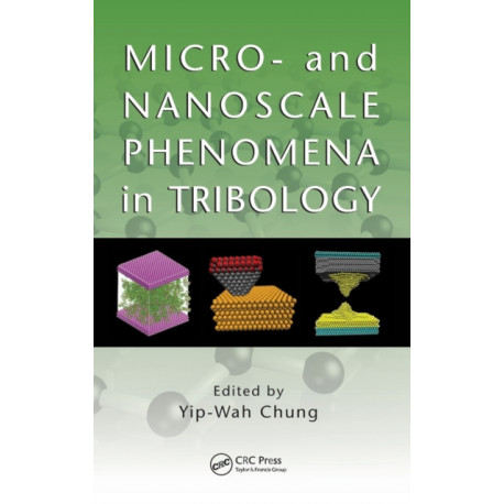 Micro- and Nanoscale Phenomena in Tribology