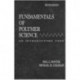 Fundamentals of Polymer Science: An Introductory Text, Second Edition