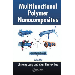 Multifunctional Polymer Nanocomposites