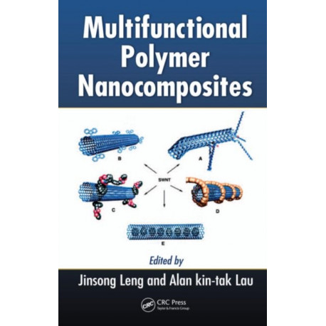 Multifunctional Polymer Nanocomposites