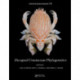 Decapod Crustacean Phylogenetics