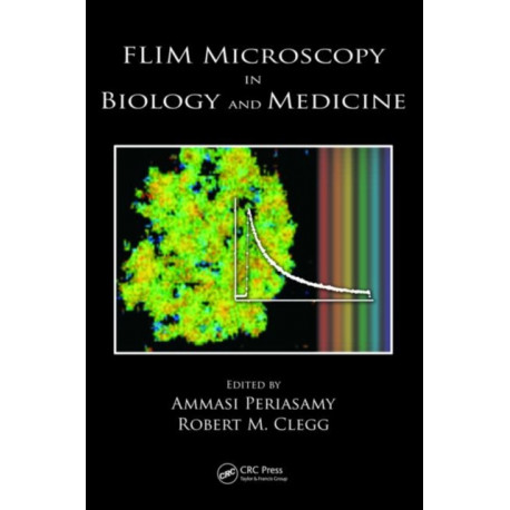FLIM Microscopy in Biology and Medicine