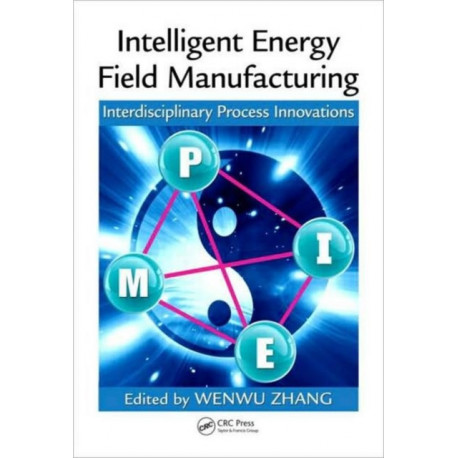 Intelligent Energy Field Manufacturing: Interdisciplinary Process Innovations