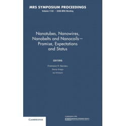 Nanotubes, Nanowires, Nanobelts and Nanocoils — Promise, Expectations and Status: Volume 1142