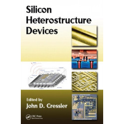 Silicon Heterostructure Devices
