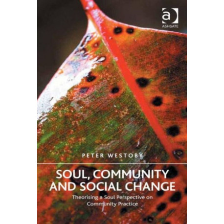 Soul, Community and Social Change: Theorising a Soul Perspective on Community Practice