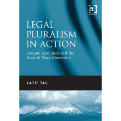 Legal Pluralism in Action: Dispute Resolution and the Kurdish Peace Committee
