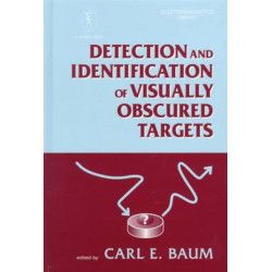 Detection And Identification Of Visually Obscured Targets