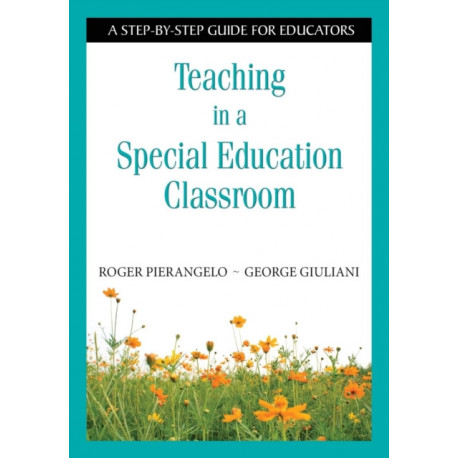 Teaching in a Special Education Classroom: A Step-by-Step Guide for Educators