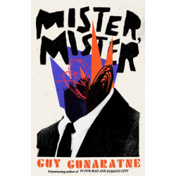 Mister, Mister: The new novel from the Booker Prize longlisted author of In Our Mad and Furious City