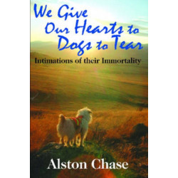 We Give Our Hearts to Dogs to Tear: Intimations of Their Immortality