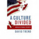 A Culture Divided: America's Struggle for Unity